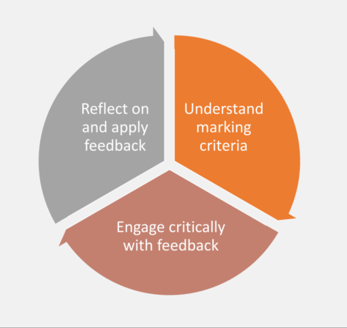 A Chart Illustrating Utilizing Student Feedback to Improve Curriculum